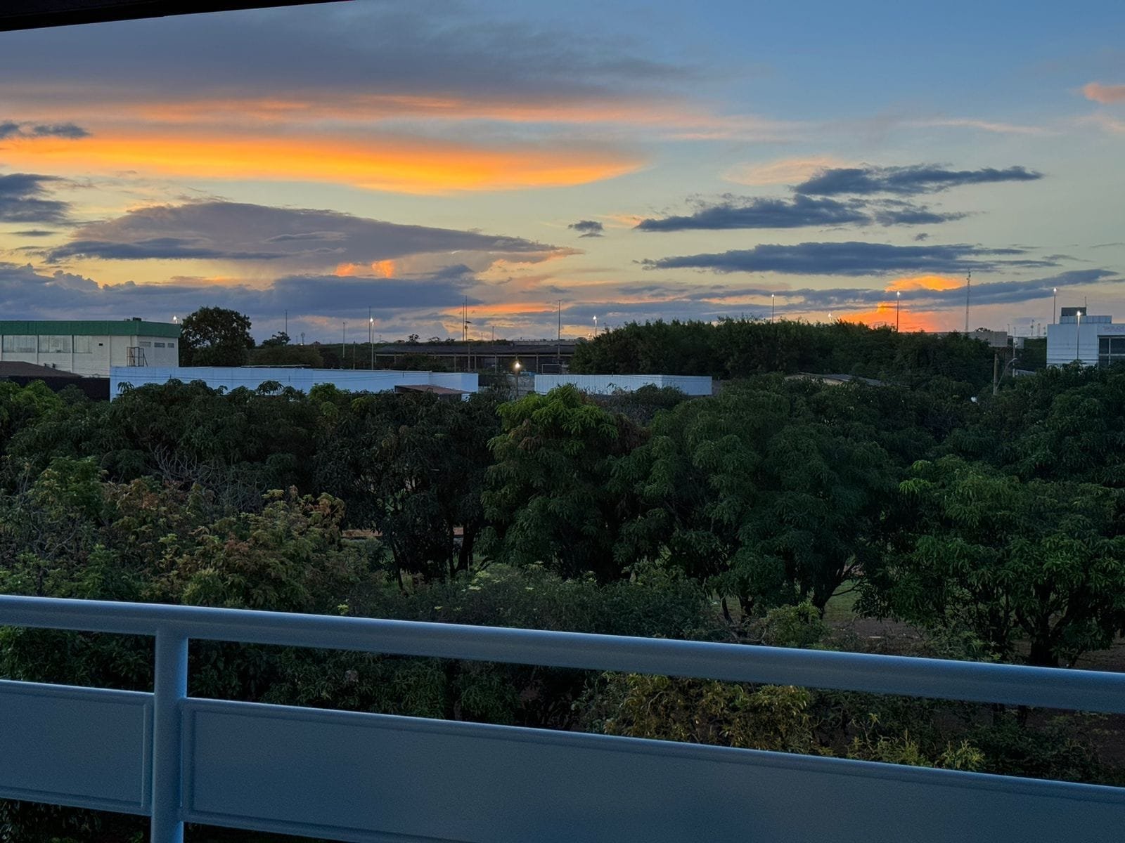 Vista